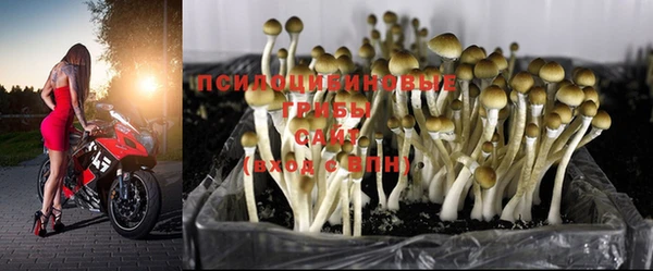 дурь Вязьма