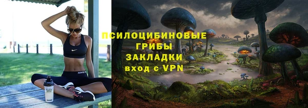 дурь Вязьма