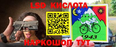 спайс Донской