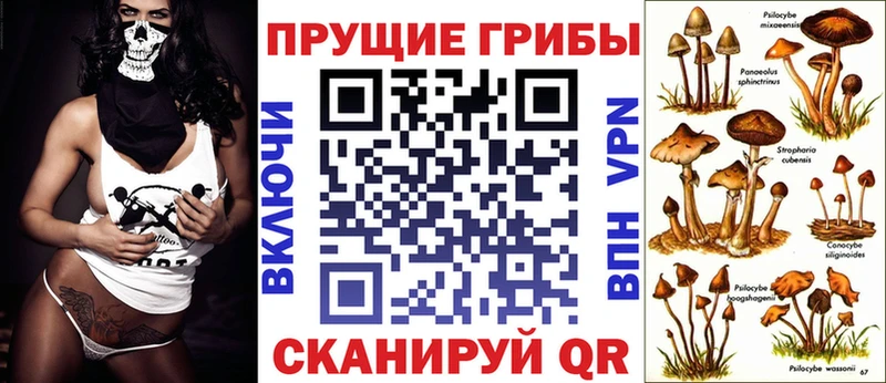 Псилоцибиновые грибы мицелий  Ноябрьск 
