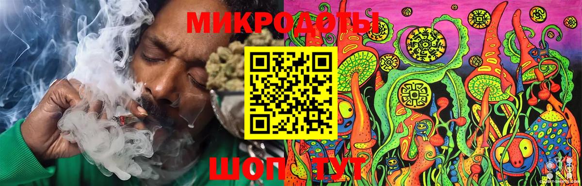 Галлюциногенные грибы Psilocybine cubensis  Вход с VPN  Ноябрьск 
